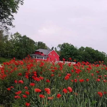 Au Hameau De L'ecluse Proche Europa-park 3* Marckolsheim