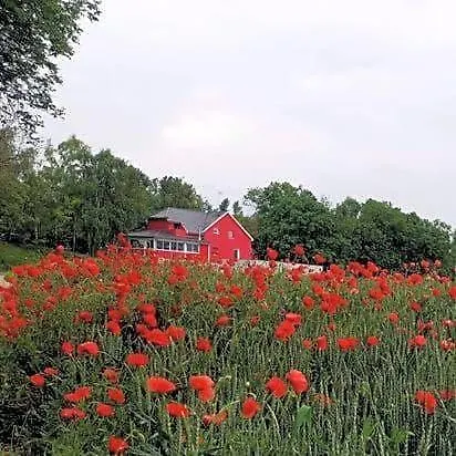 Au Hameau De L'ecluse Proche Europa-park Bed and Breakfast 3*
